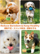 Zuome Squeaky Dog Toys, [6 Pack] Soft Stuffed Plush Balls with Squeakers, Interactive Fetch Play for Puppy Small Pets